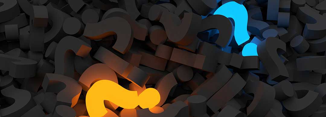 The court questioned the expert witness of this case.