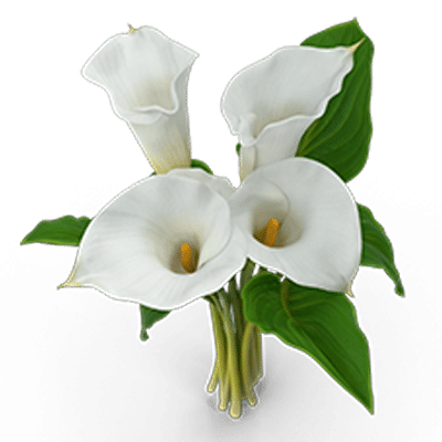 Do you need a Court declaration that you are an heir before you can protect your inherited property?