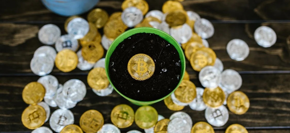 A branch office liability taxation and capitalization are important considerations when setting up a company.