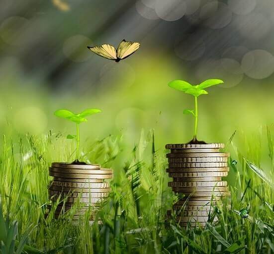 A stack of coins with seedlings on top symbolizing Tax Incentives Philippines