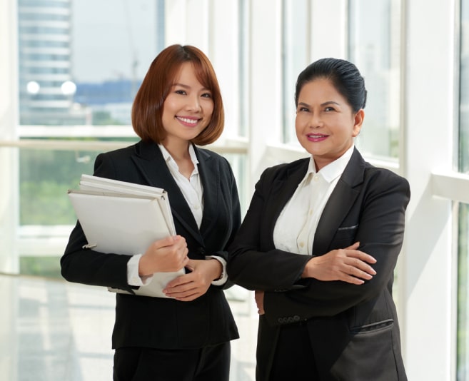 Professional lawyers